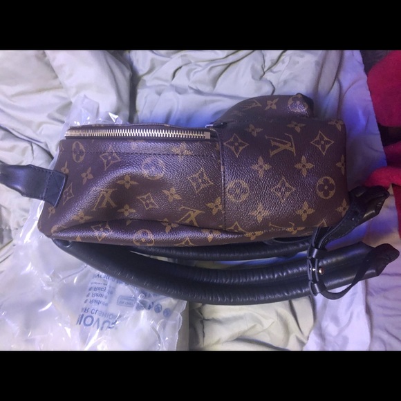 Luis Vuitton Backpack - Picture 3 of 6